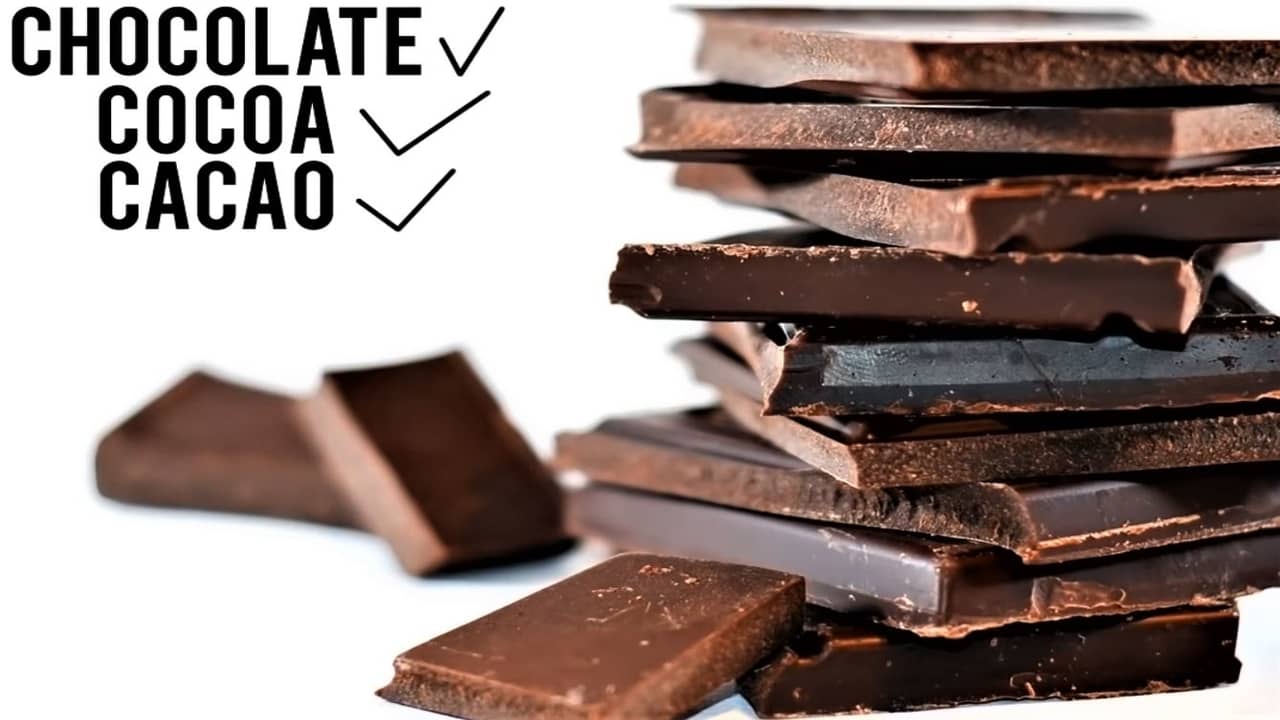 Chemistry of Chocolate A Chemical Rush for the Senses