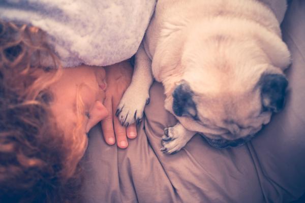 6 reasons why your dog sleeps with you - 6. He is showing you his love