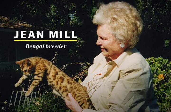 Jean Mill, the first American Bengal breeder.