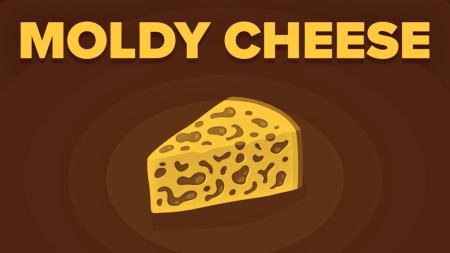 Moldy cheese.