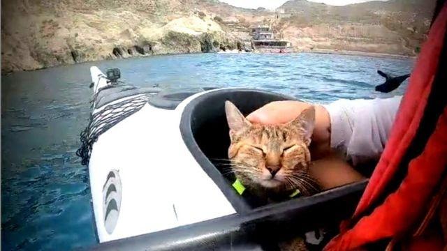 Dean shows affection for Nala in a kayak.