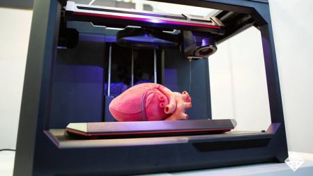 3D print of a human heart inside a 3d printer.