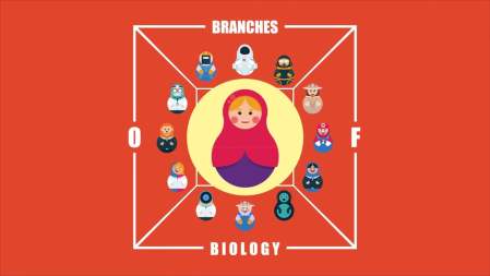 Branches of Biology.