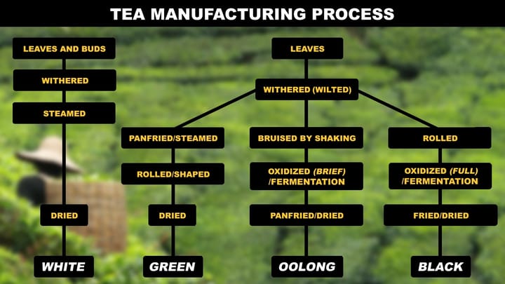 Chemical changes that happen in the tea leaves during production.