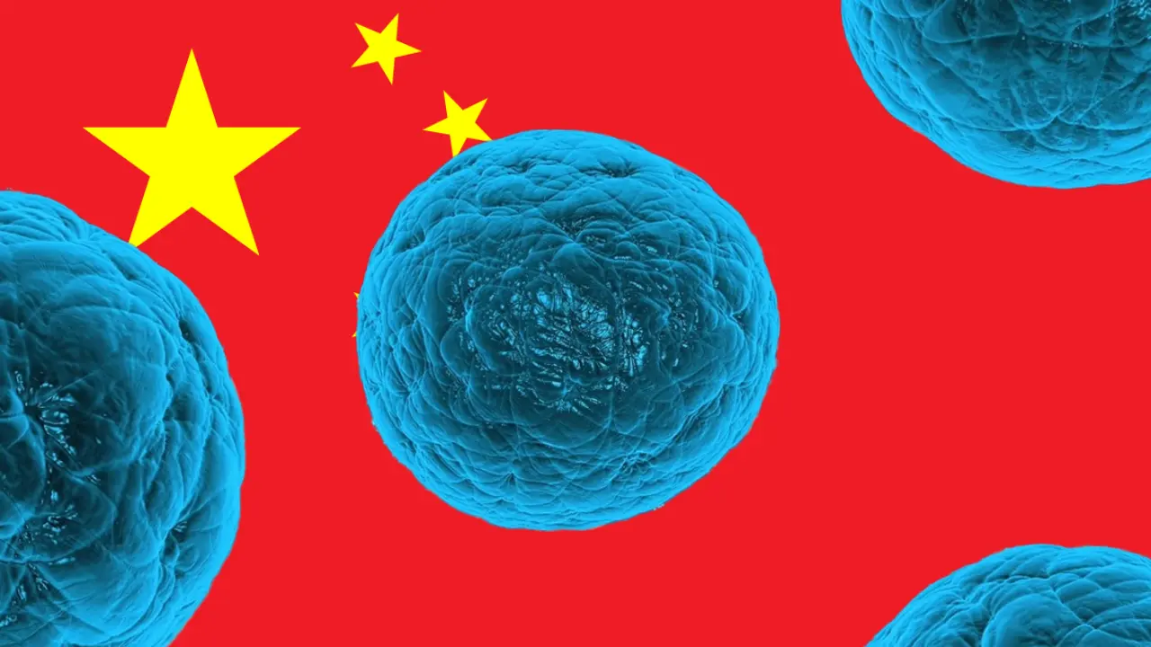 Langya: Outbreak of a new virus has affected 35 people in China
